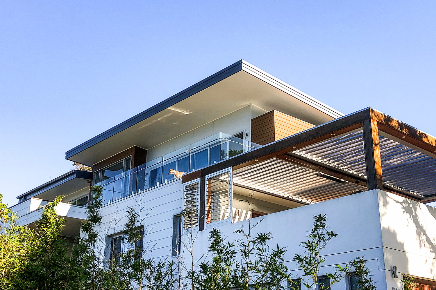 C&C House – Freshwater