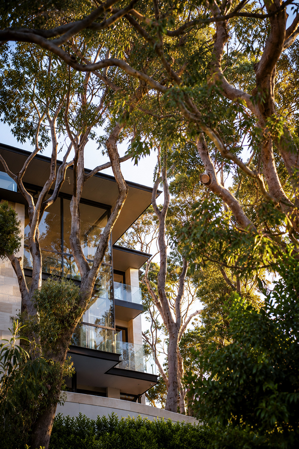 Contemporary waterfront home P&C House Seaforth – Seen through the gum trees.