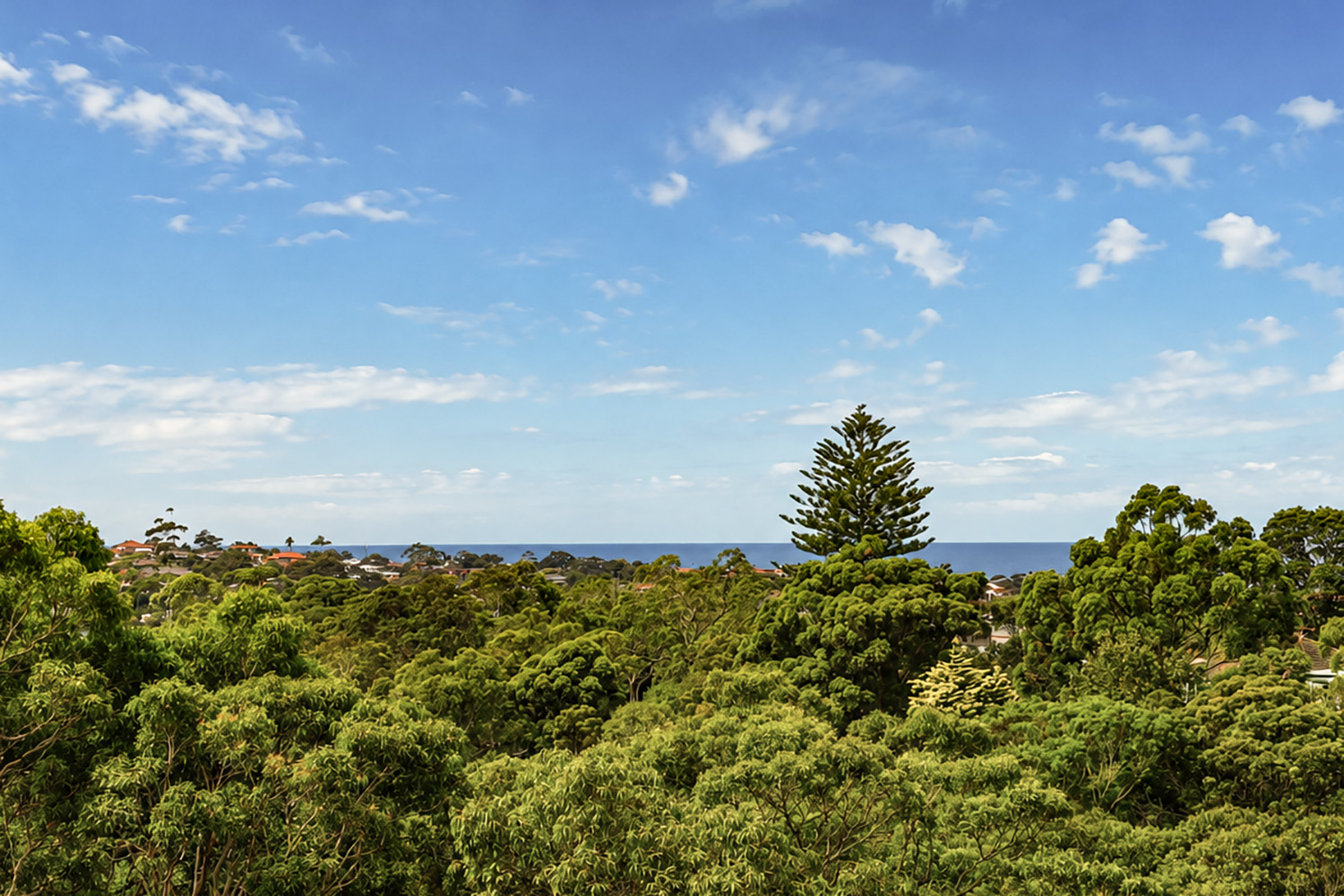 Steep site architecture – L&L House Allambie District Views