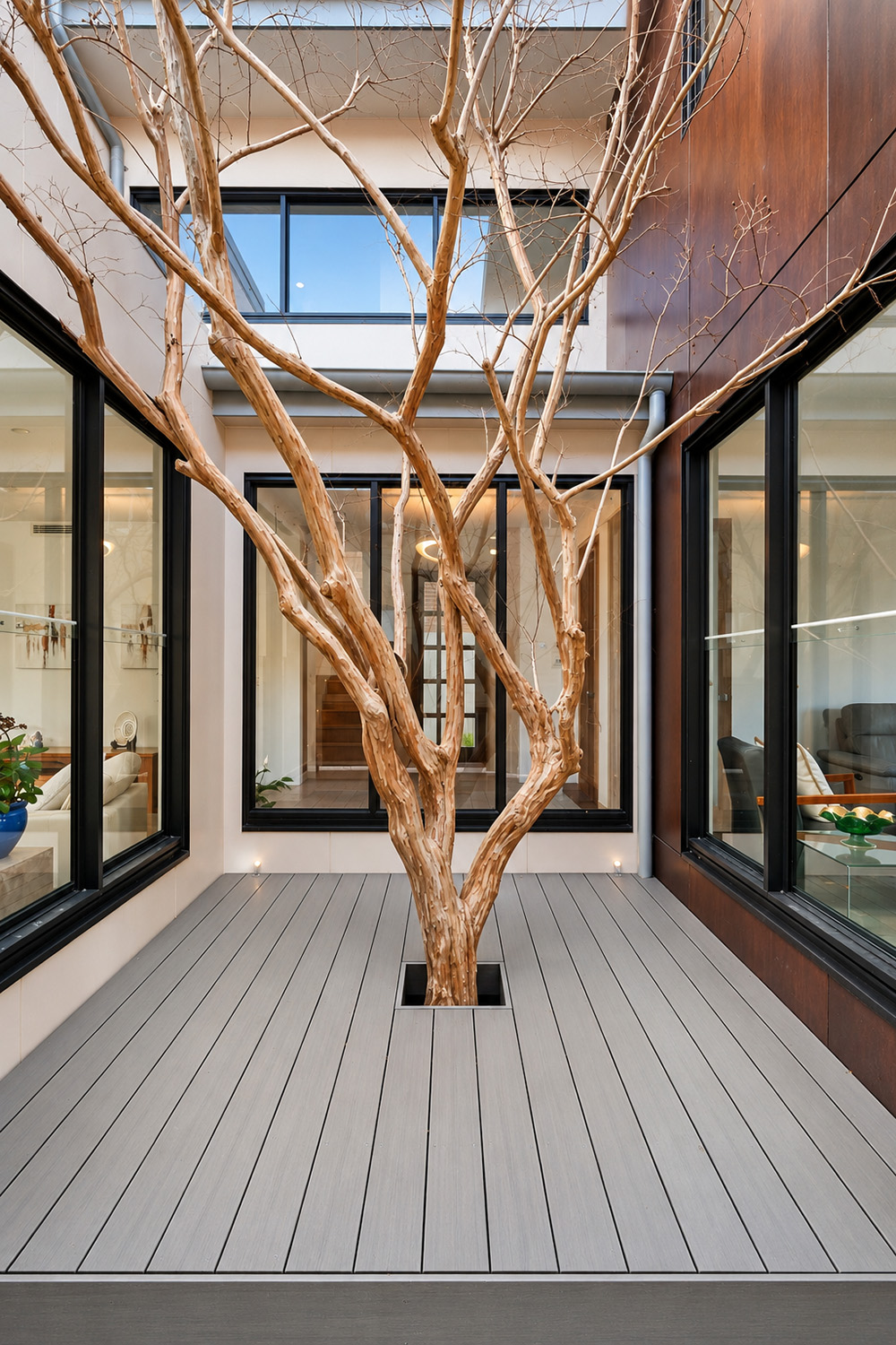 Modern renovation – O&S House Abbotsford Courtyard with Tree